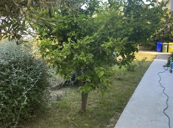 아파트 With Parking Space Orebic, Peljesac - 4501