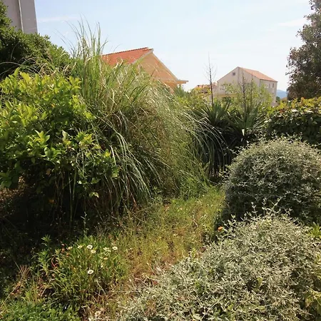 Διαμέρισμα With Parking Space Orebic, Peljesac - 4501 *
