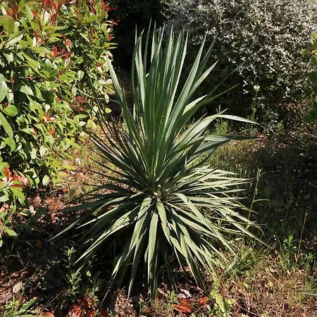 With A Parking Space Orebic, Peljesac - 4501 * Orebić