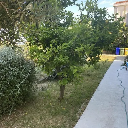 Lägenhet With A Parking Space Orebic, Peljesac - 4501