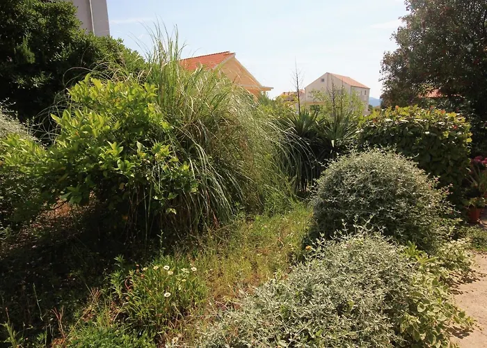 Apartamento With Parking Space Orebic, Peljesac - 4501 *