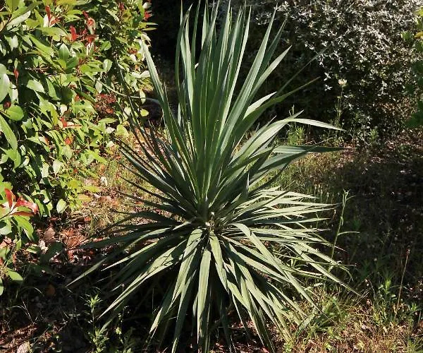 With Parking Space Orebic, Peljesac - 4501 * Orebić